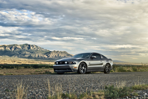 Ford Mustang 5.0 screenshot #1 480x320