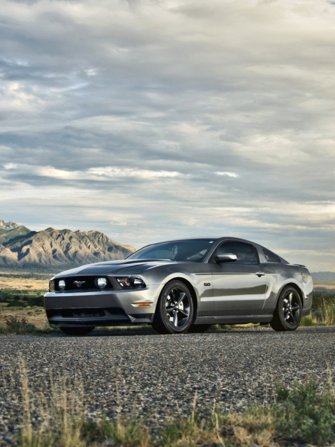 Ford Mustang 5.0 screenshot #1 480x640