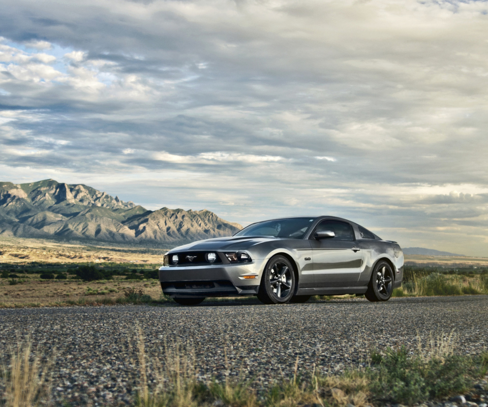 Fondo de pantalla Ford Mustang 5.0 960x800