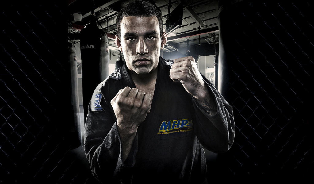 Fondo de pantalla Fabricio Werdum - Mma 1024x600