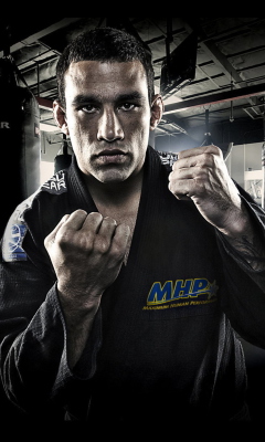 Screenshot №1 pro téma Fabricio Werdum - Mma 240x400