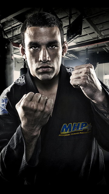 Fabricio Werdum - Mma wallpaper 360x640