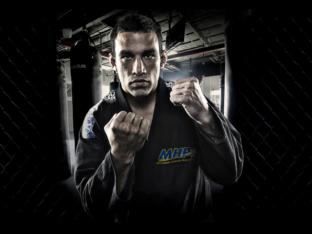 Fabricio Werdum - Mma wallpaper 640x480