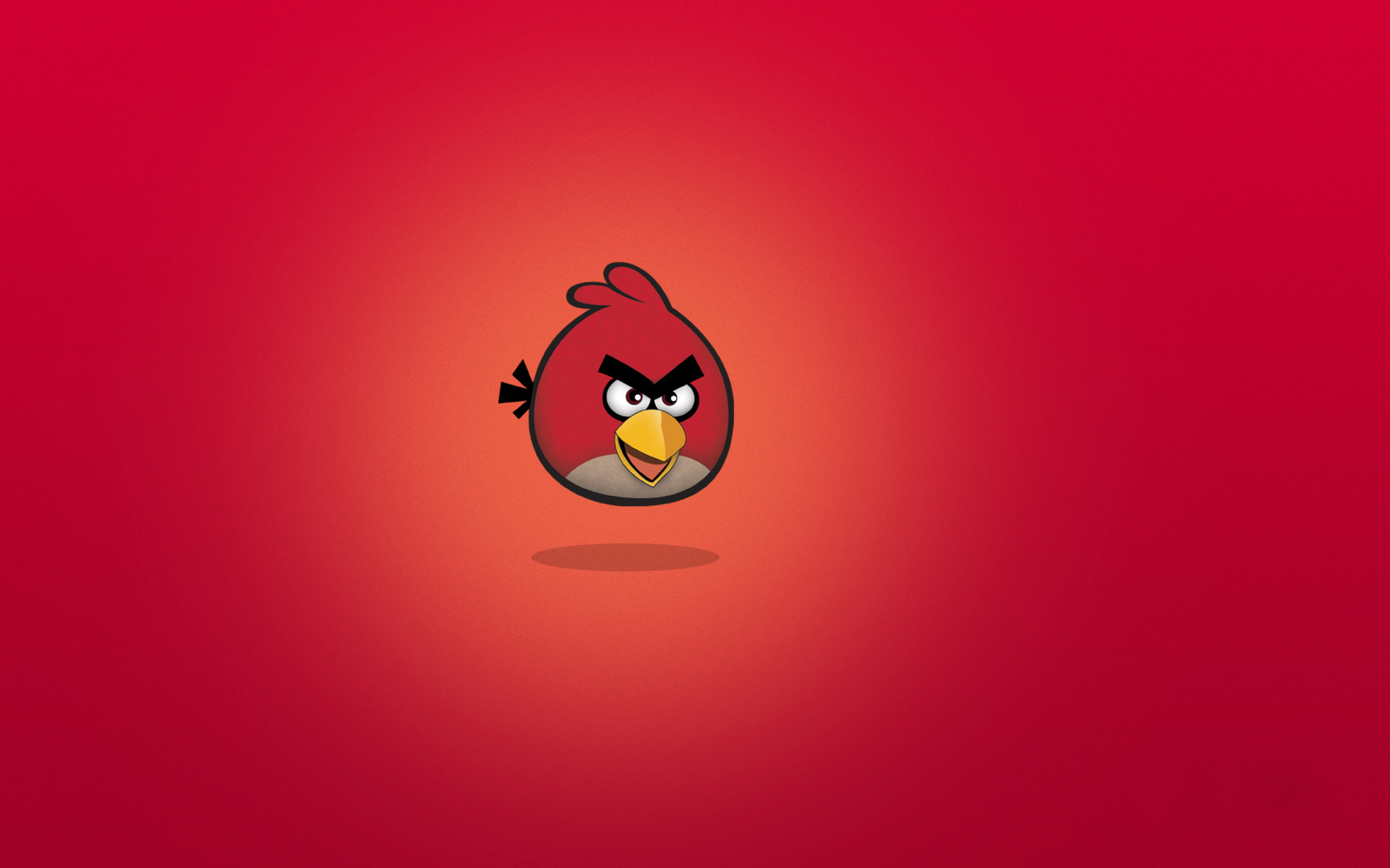 Sfondi Angry Birds Red 2560x1600