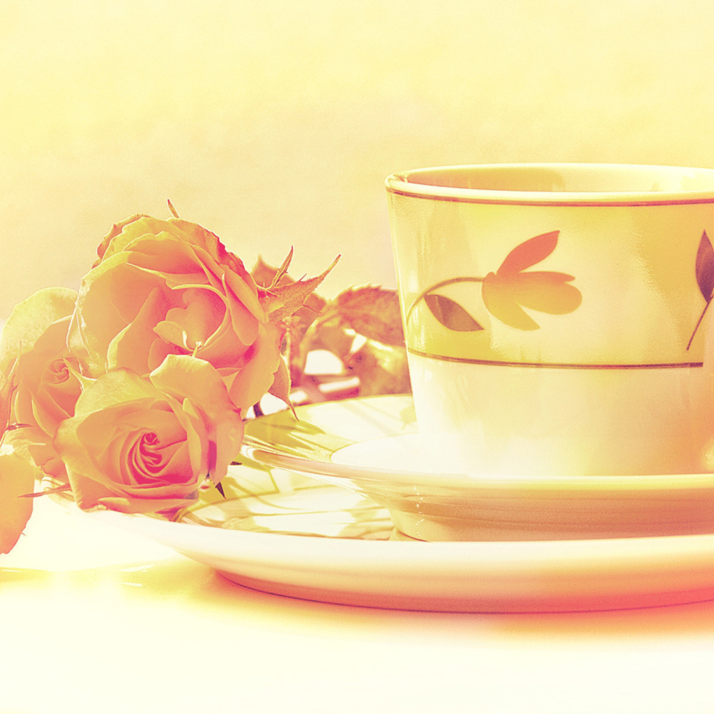 Tea And Roses wallpaper 1024x1024
