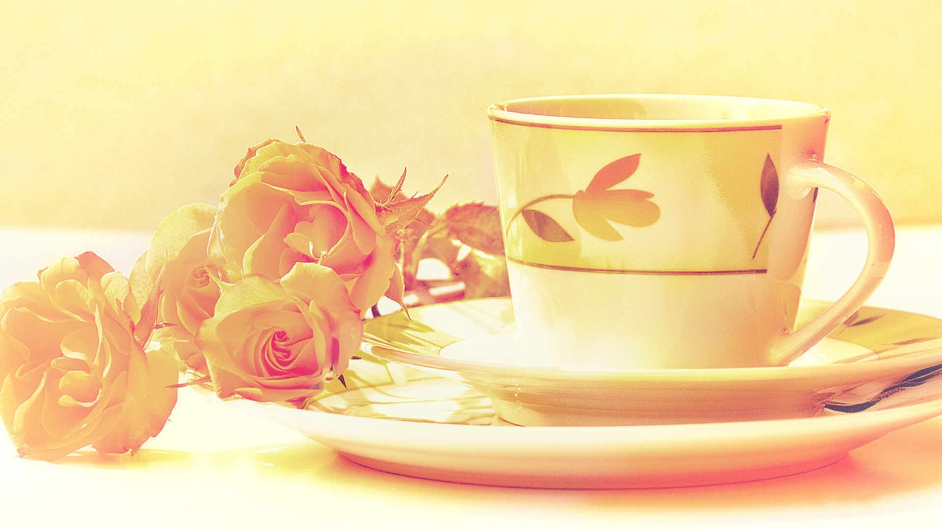 Sfondi Tea And Roses 1920x1080