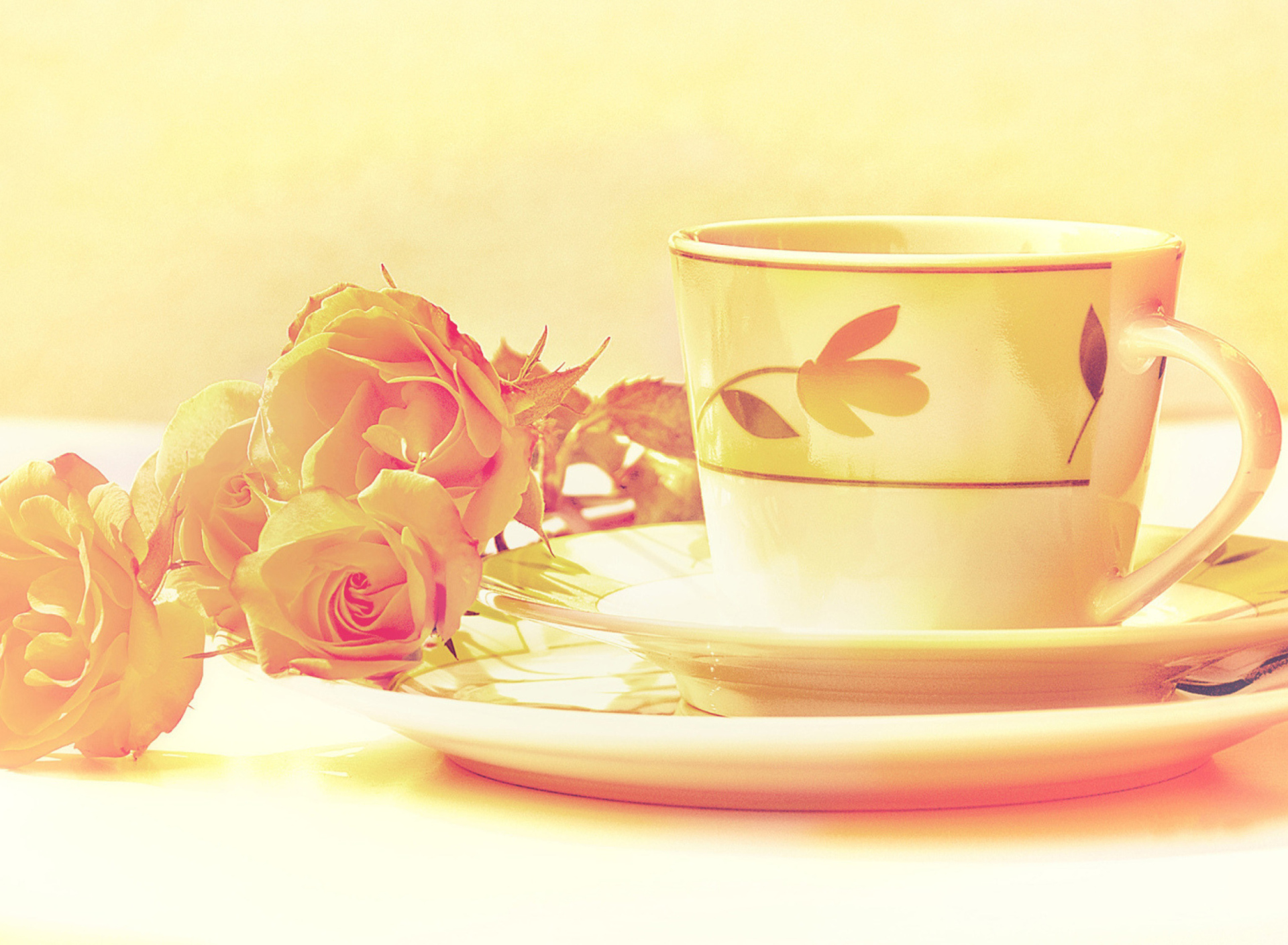 Fondo de pantalla Tea And Roses 1920x1408