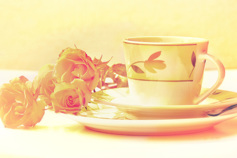 Fondo de pantalla Tea And Roses 480x320