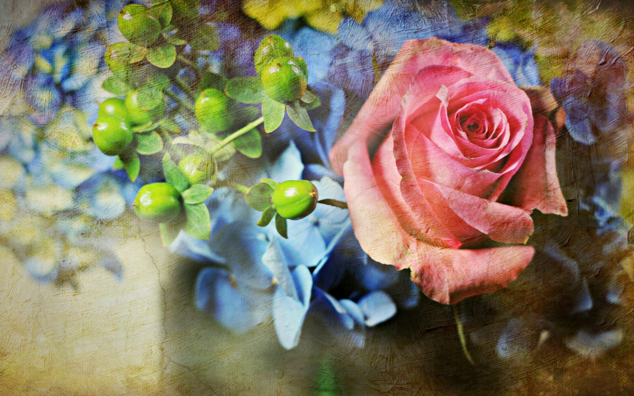 Das Pink Rose And Blue Flowers Wallpaper 1280x800
