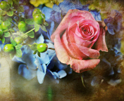 Sfondi Pink Rose And Blue Flowers 176x144