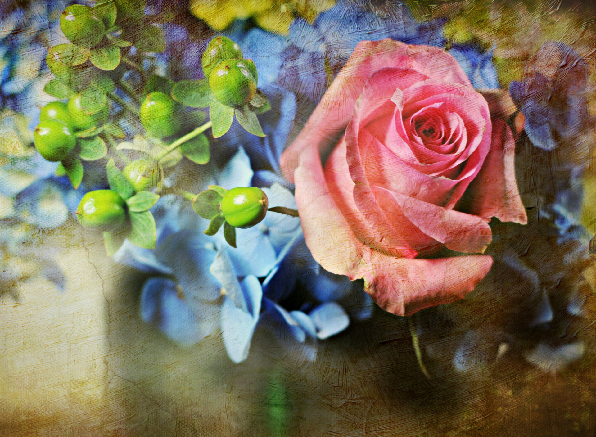 Обои Pink Rose And Blue Flowers 1920x1408
