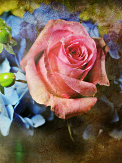 Pink Rose And Blue Flowers wallpaper 240x320
