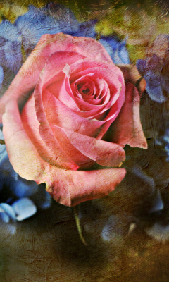 Das Pink Rose And Blue Flowers Wallpaper 240x400