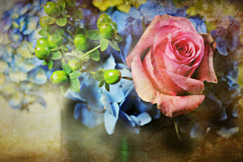 Pink Rose And Blue Flowers wallpaper 480x320