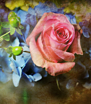 Kostenloses Pink Rose And Blue Flowers Wallpaper für 240x320