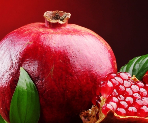 Pomegranate screenshot #1 480x400