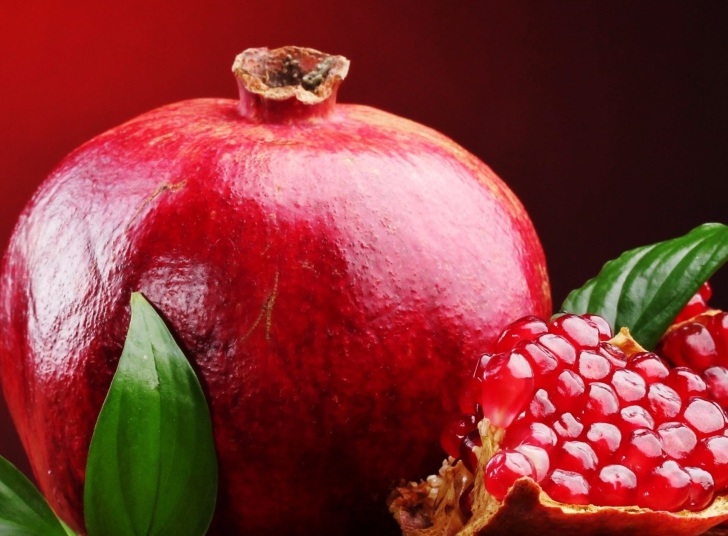 Pomegranate wallpaper