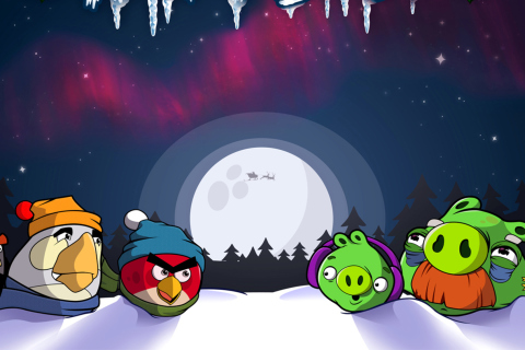 Обои Angry Bird Christmas 480x320