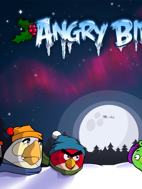 Обои Angry Bird Christmas 480x640