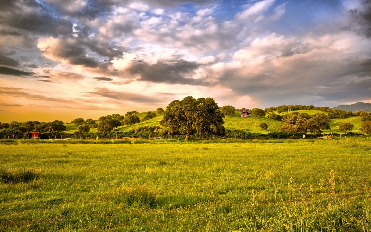 Fondo de pantalla Green Countryside 1440x900