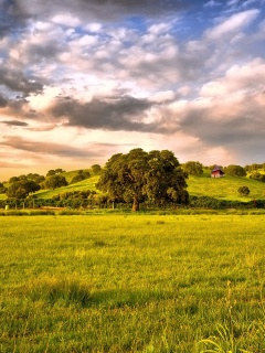 Green Countryside screenshot #1 240x320