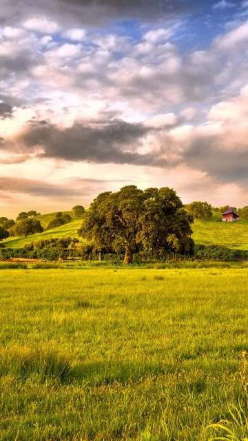 Обои Green Countryside 360x640