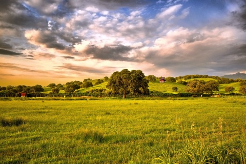 Green Countryside screenshot #1 480x320