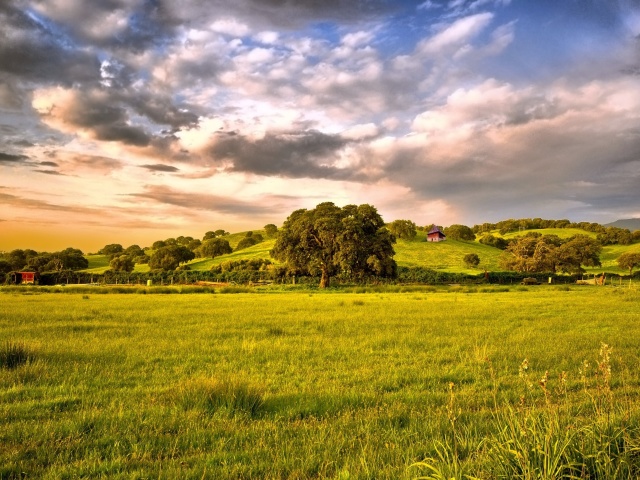 Green Countryside wallpaper 640x480