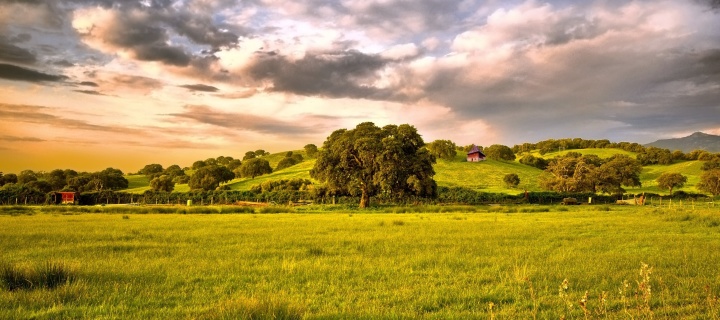 Das Green Countryside Wallpaper 720x320