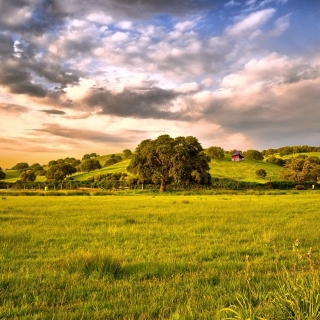 Green Countryside - Obrázkek zdarma pro iPad 3