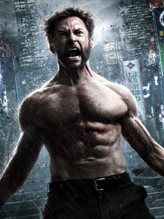Fondo de pantalla The Wolverine 2013 240x320