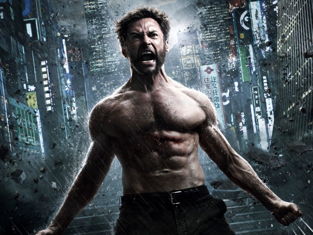 Das The Wolverine 2013 Wallpaper 640x480
