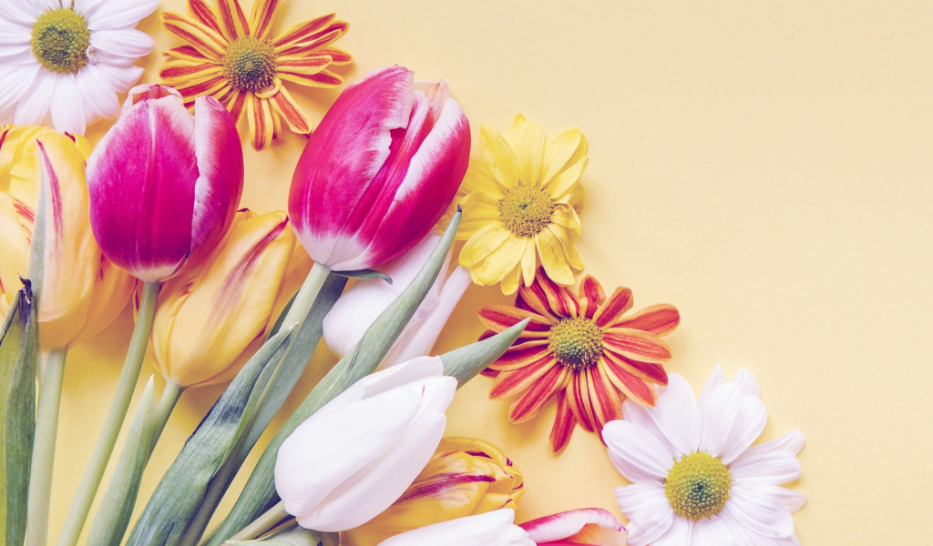 Spring tulips on yellow background wallpaper 1024x600