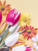 Screenshot №1 pro téma Spring tulips on yellow background 132x176