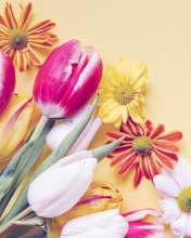 Spring tulips on yellow background screenshot #1 176x220