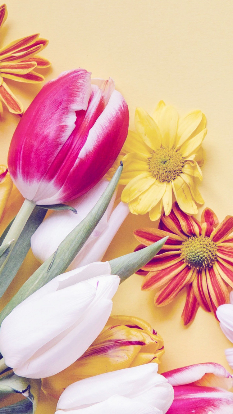 Spring tulips on yellow background wallpaper 750x1334
