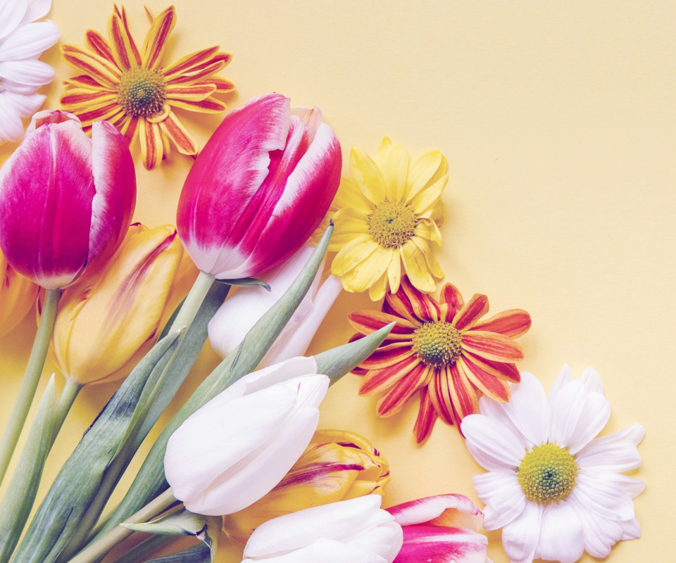 Обои Spring tulips on yellow background 960x800