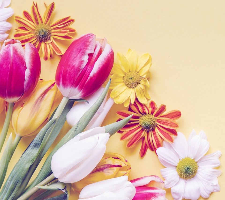 Spring tulips on yellow background wallpaper 960x854