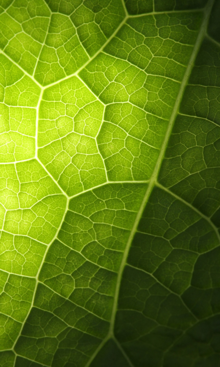 Green Leaf Macro screenshot #1 768x1280