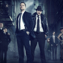 Gotham TV Series 2014 wallpaper 208x208