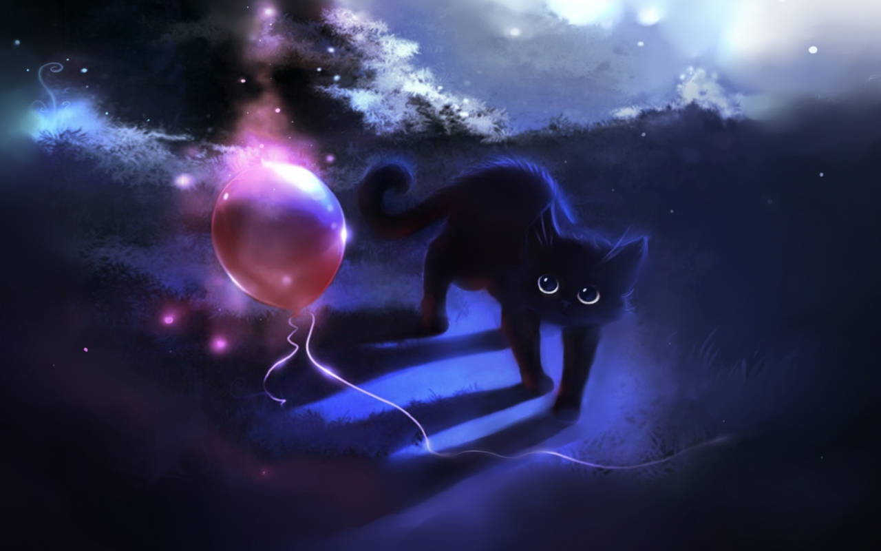 Das Black Kitty Wallpaper 1280x800