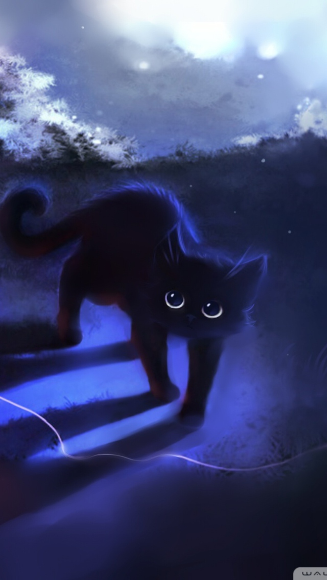 Das Black Kitty Wallpaper 640x1136