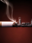 Fondo de pantalla Smoked Cigarette 132x176