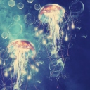 Digital Jellyfish wallpaper 128x128