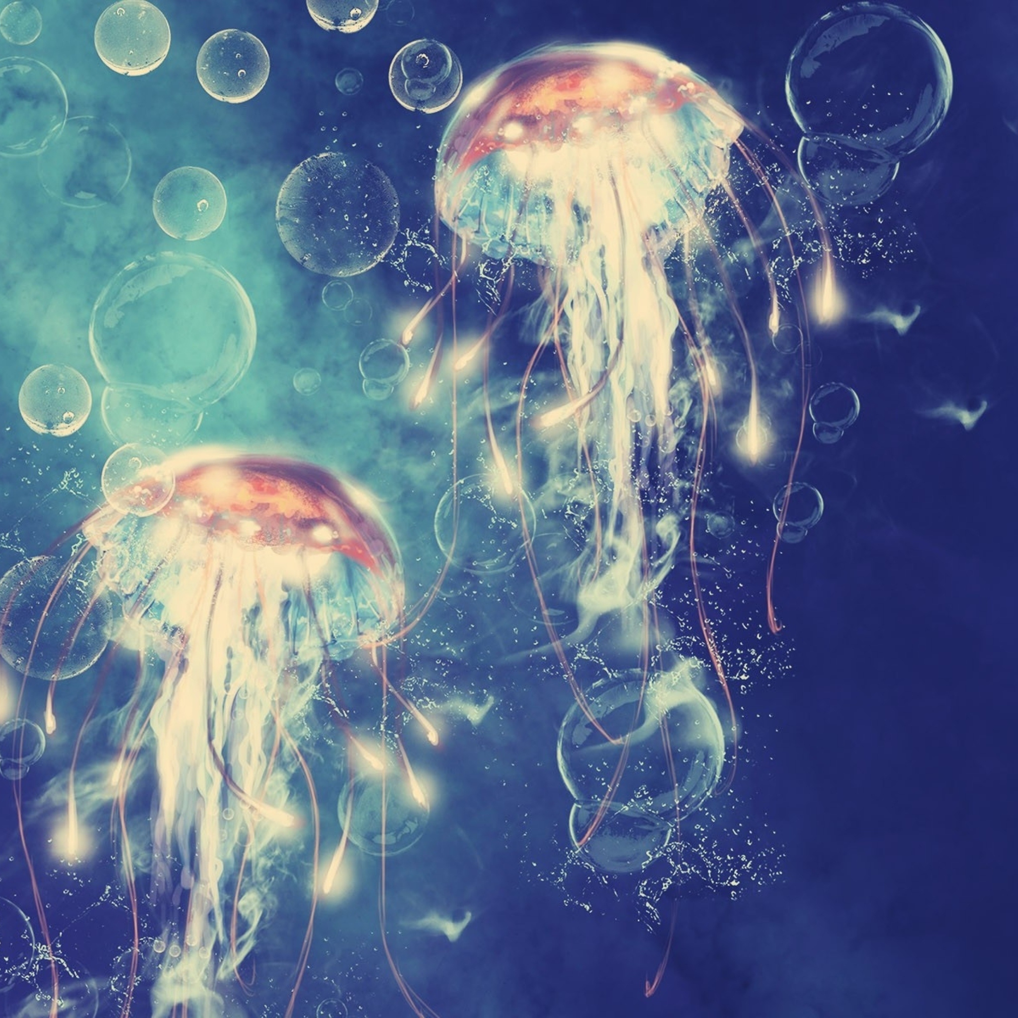 Digital Jellyfish wallpaper 2048x2048
