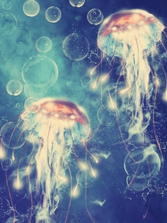 Digital Jellyfish wallpaper 240x320