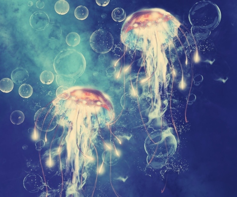 Das Digital Jellyfish Wallpaper 480x400