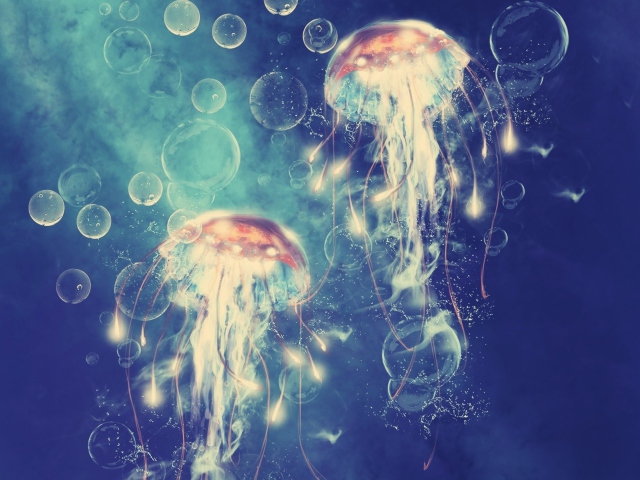 Digital Jellyfish wallpaper 640x480