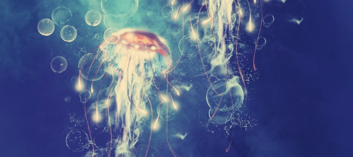 Sfondi Digital Jellyfish 720x320