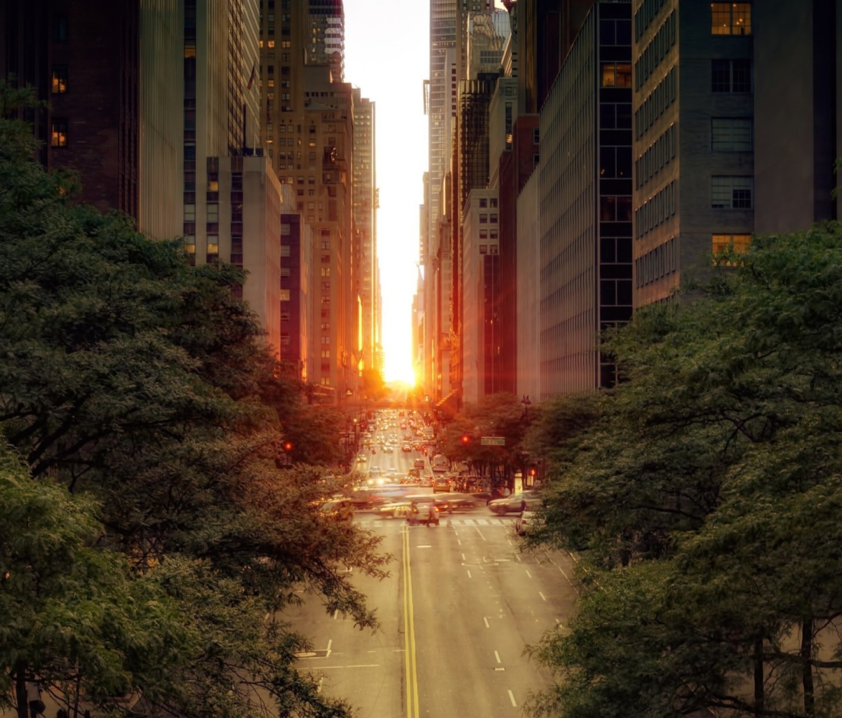 Das Sun Rising Over Street Wallpaper 1200x1024